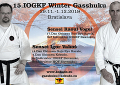 Flyer Winter Gasshuku 2019