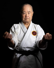 Higaonna Sensei