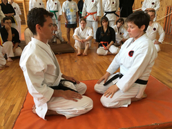 Hakku Ryu Jujutsu